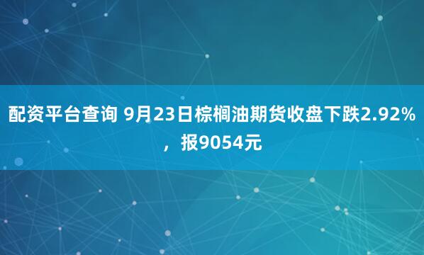 配资平台查询 9月23日棕榈油期货收盘下跌2.92%，报9054元